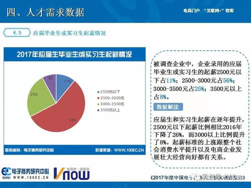 专业调研报告电子商务